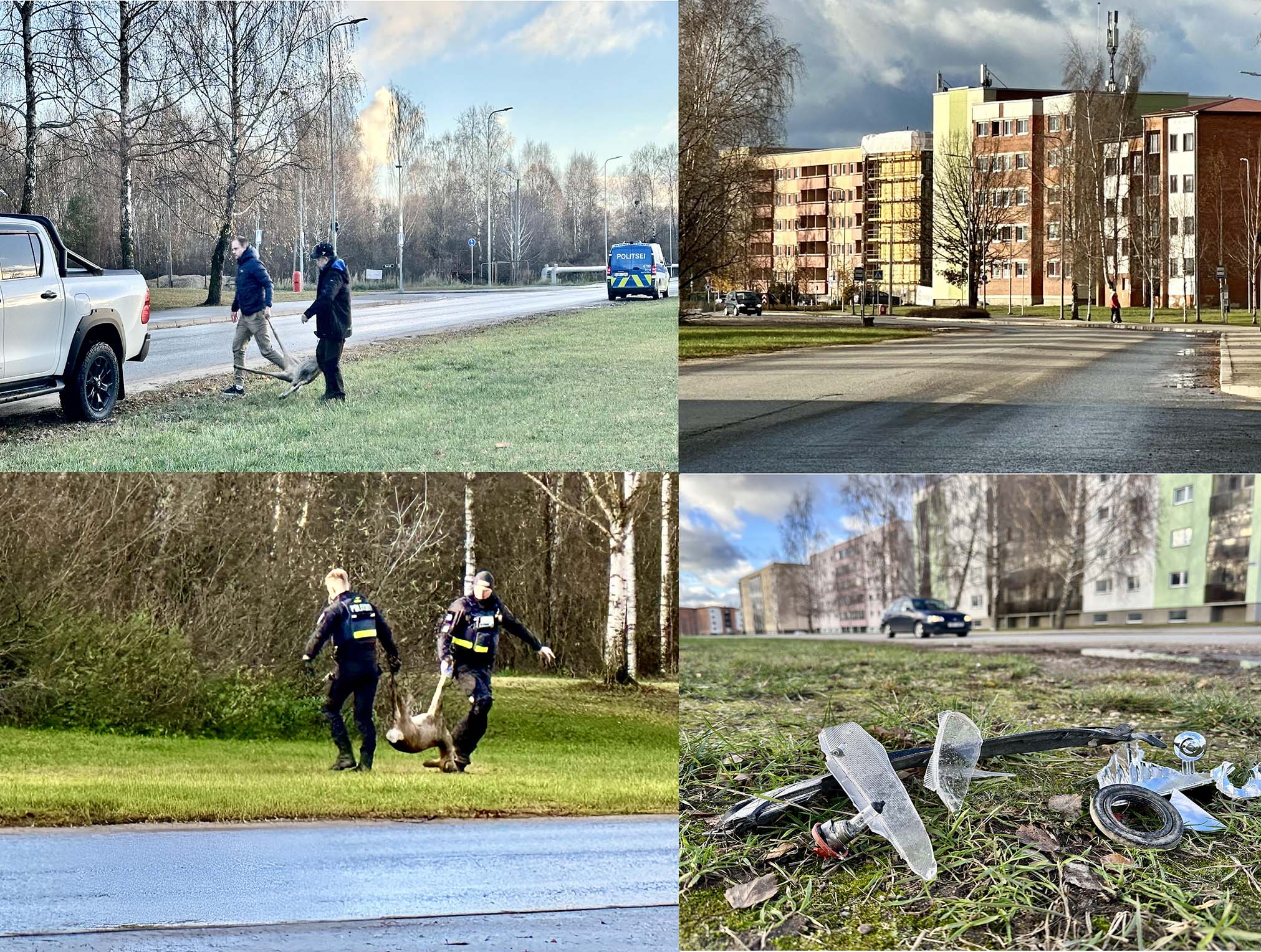 Kits jäi Võru linnas auto alla